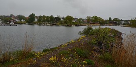 Figeholm